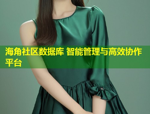 海角社区数据库 智能管理与高效协作平台  第1张