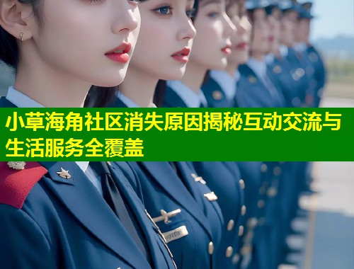 小草海角社区消失原因揭秘互动交流与生活服务全覆盖  第1张