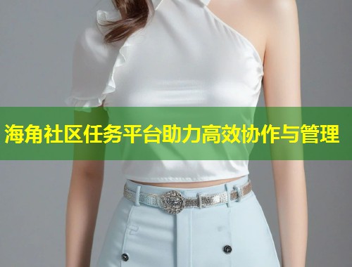 海角社区任务平台助力高效协作与管理  第1张