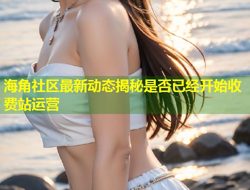 海角社区最新动态揭秘是否已经开始收费站运营