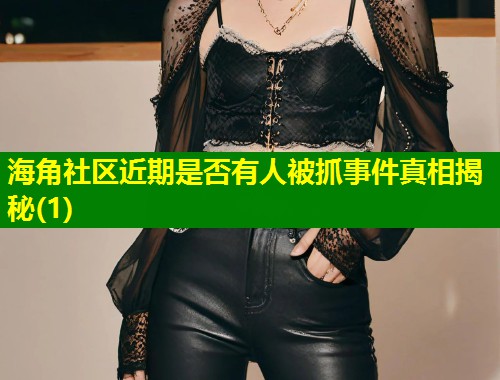 海角社区近期是否有人被抓事件真相揭秘(1)