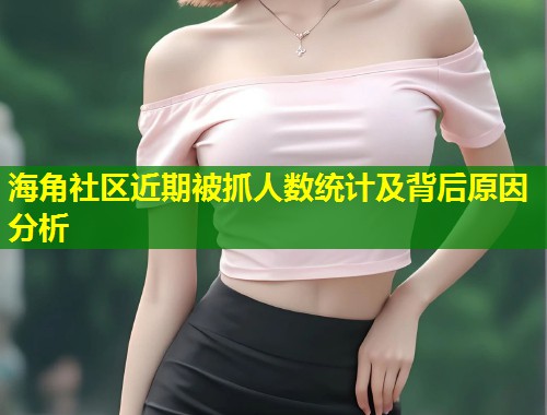 海角社区近期被抓人数统计及背后原因分析