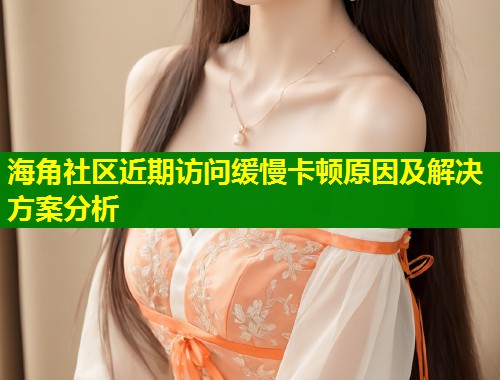 海角社区近期访问缓慢卡顿原因及解决方案分析