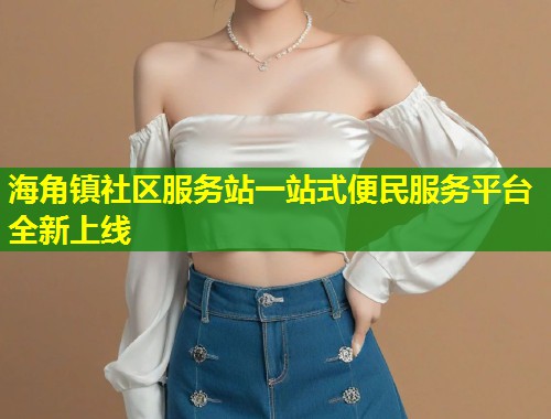 海角镇社区服务站一站式便民服务平台全新上线