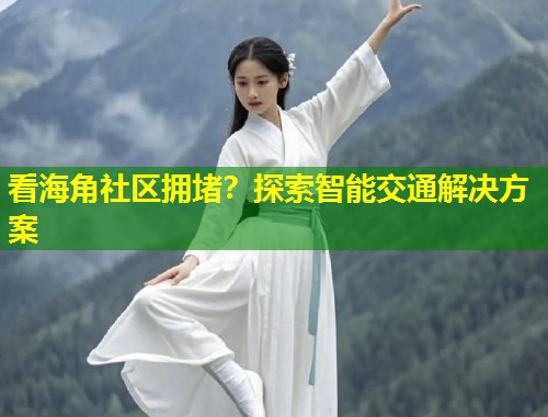 看海角社区拥堵？探索智能交通解决方案