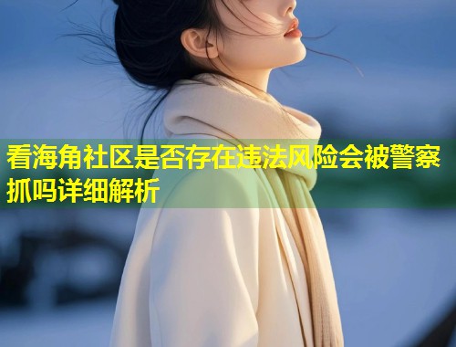 看海角社区是否存在违法风险会被警察抓吗详细解析  第2张